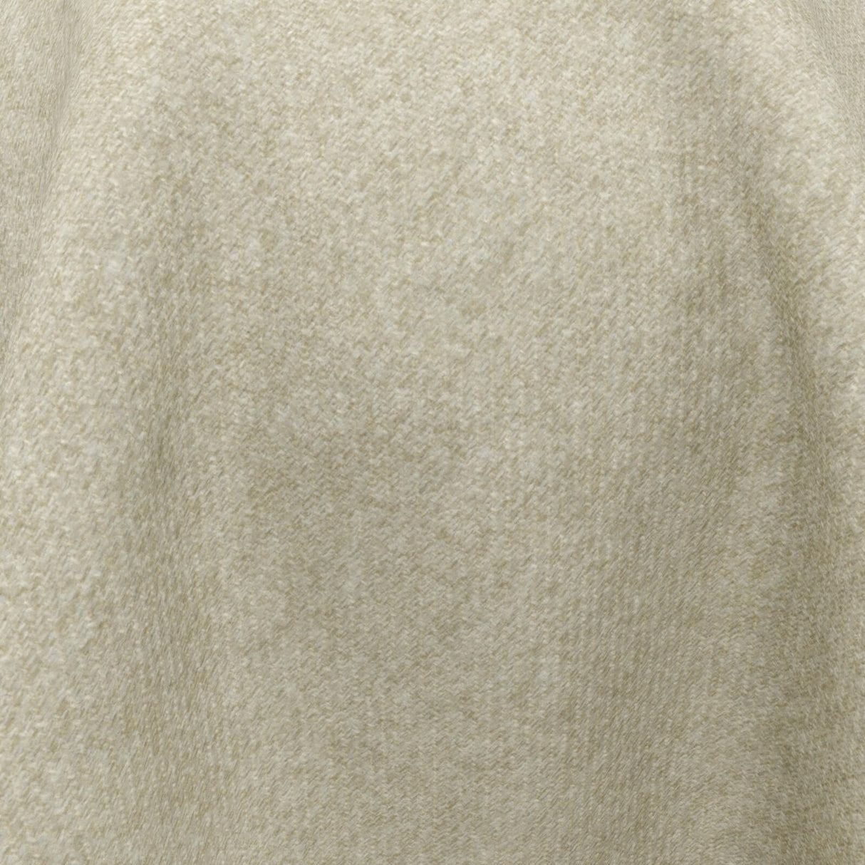 Braveheart 18 Lichen