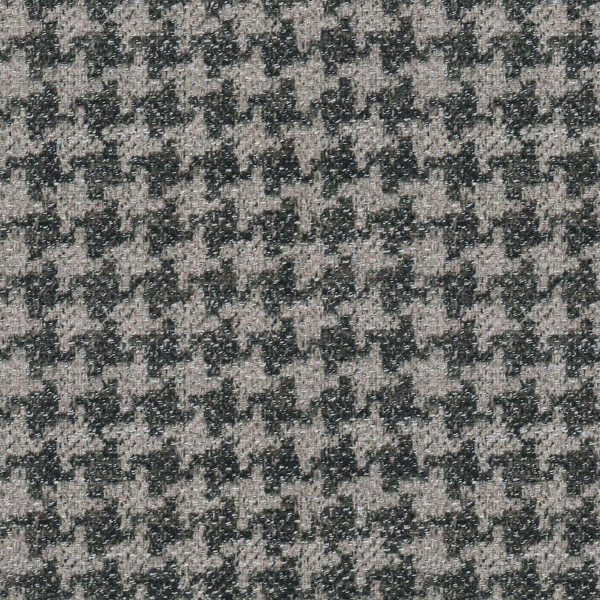Canada Pepita T02