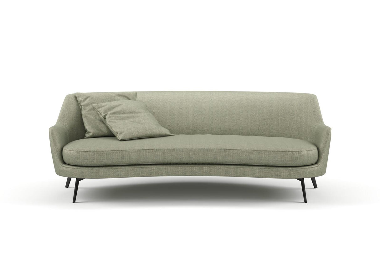 Tiempo 37 Clover