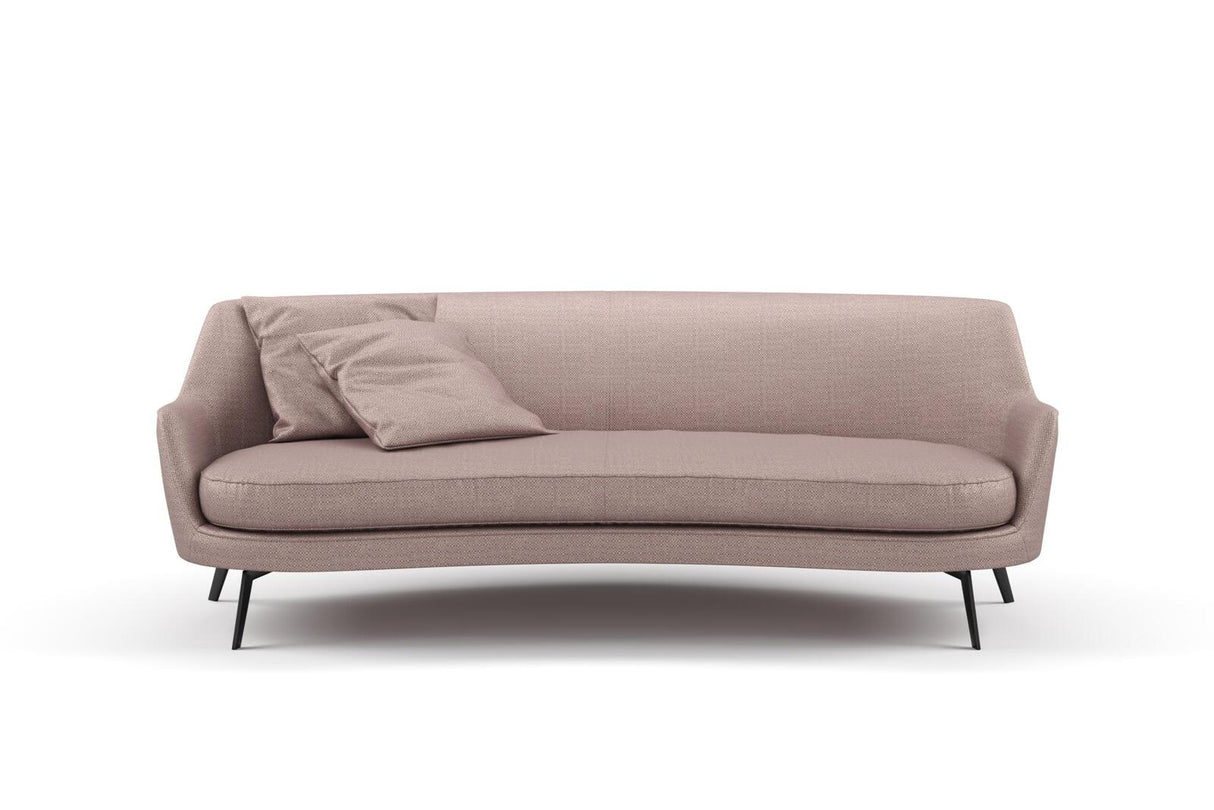 Tiempo 43 Orchid