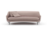 Tiempo 43 Orchid