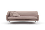 Tiempo 43 Orchid