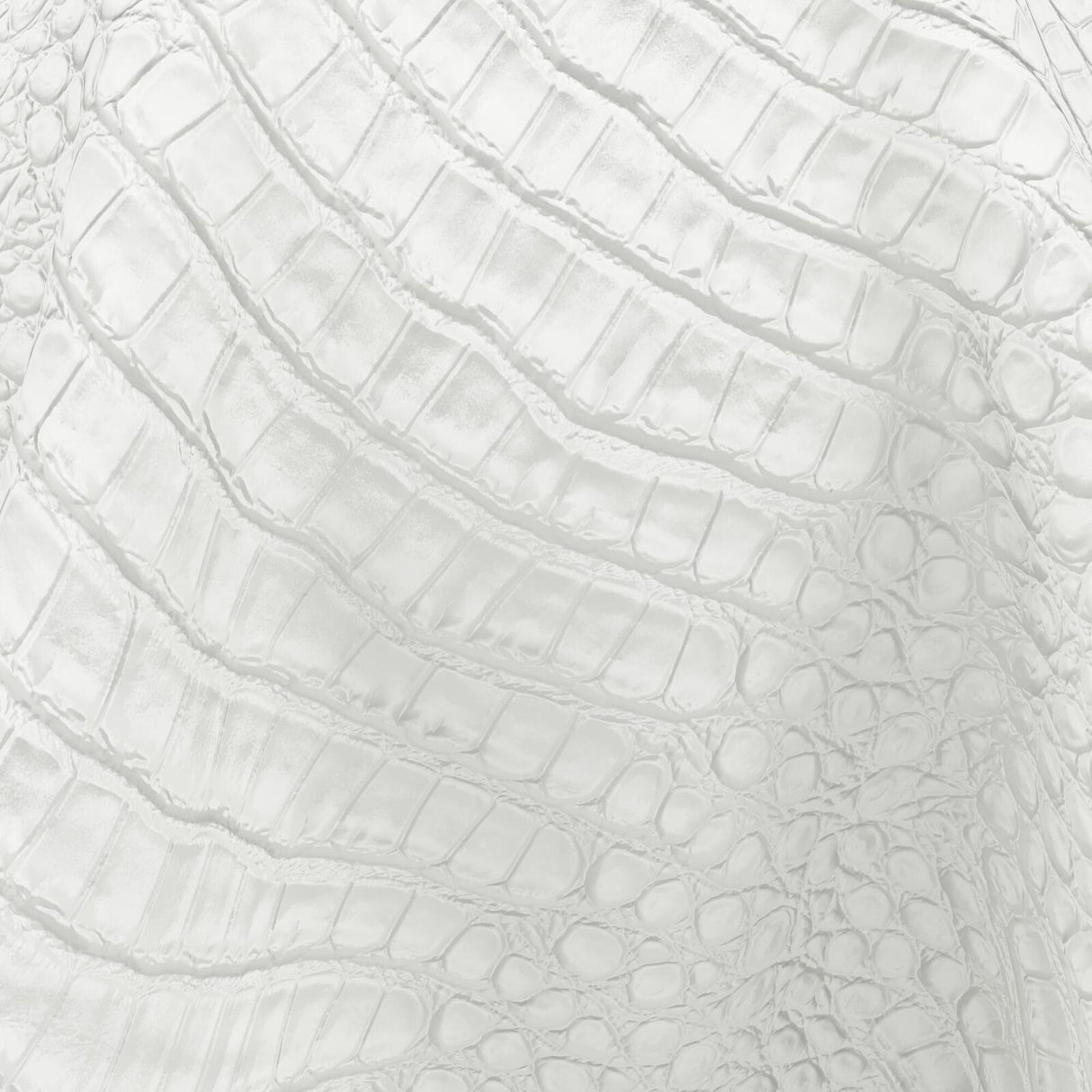 Mougins 22 Swan