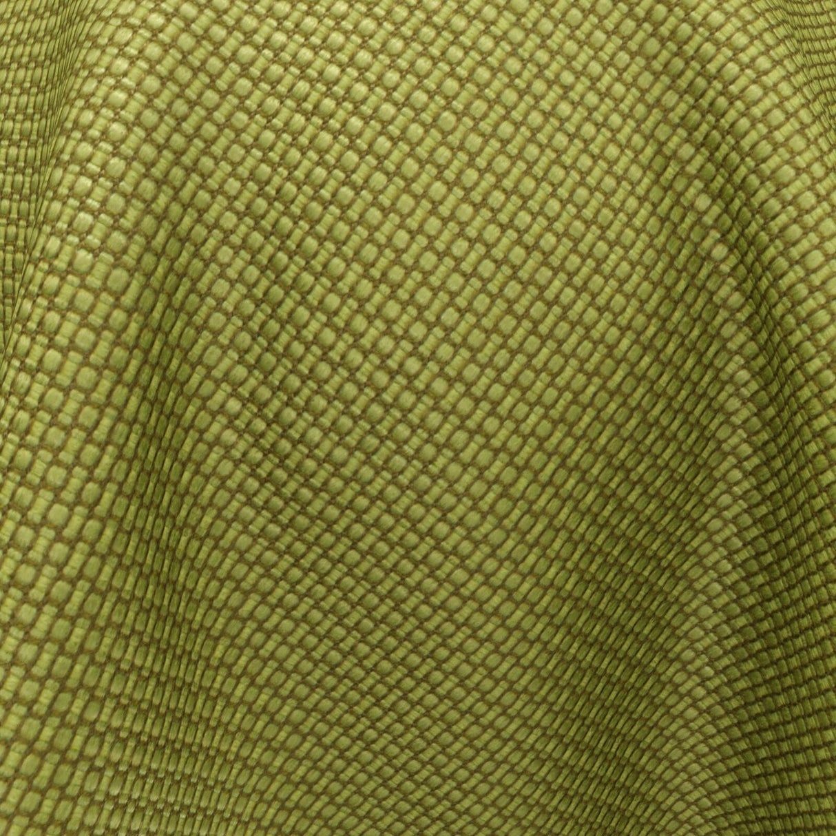 Centurion 23 Moss