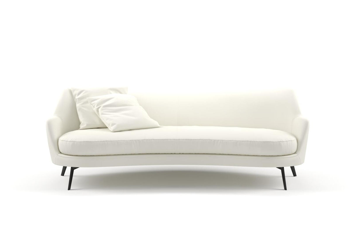 Combo 13 Swan