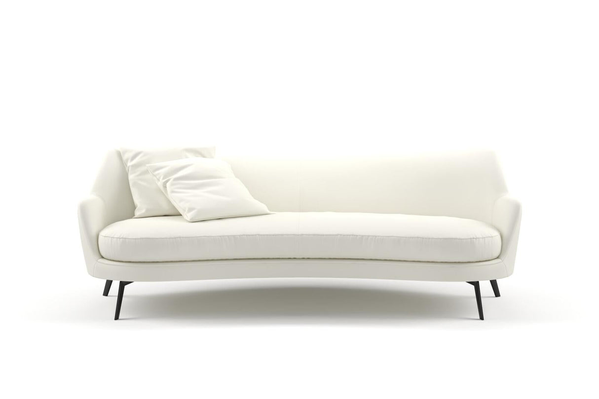 Combo 13 Swan