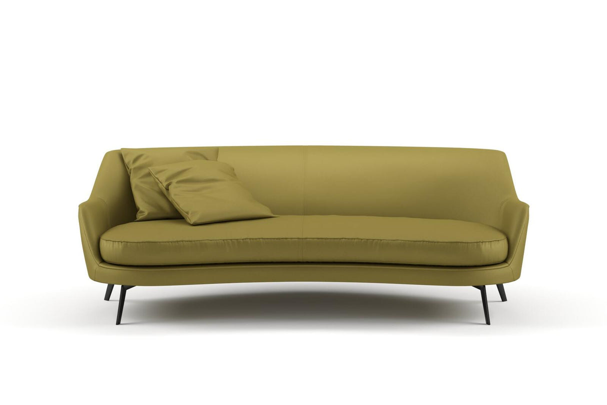 Combo 19 Olive