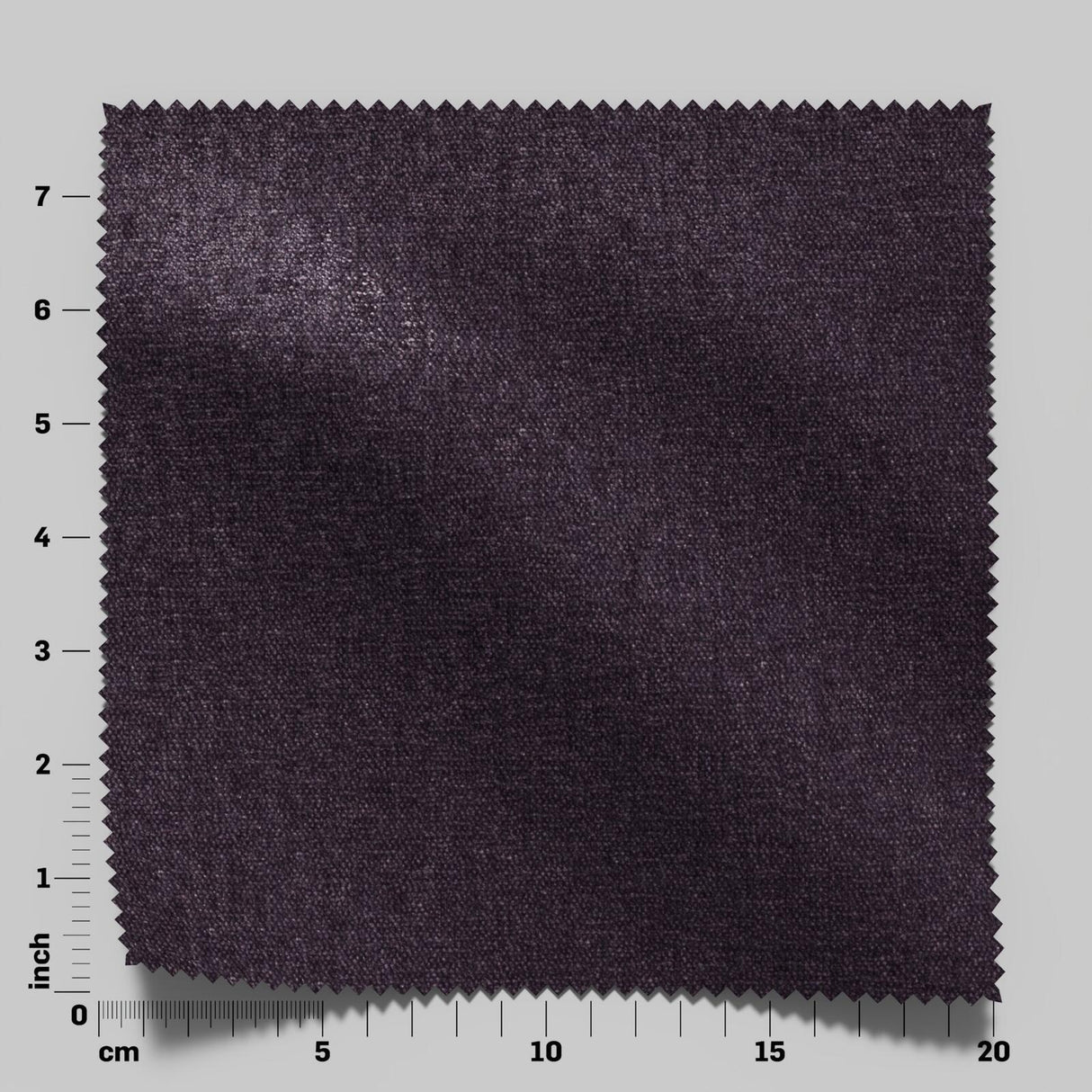 Confidante 07 Fig