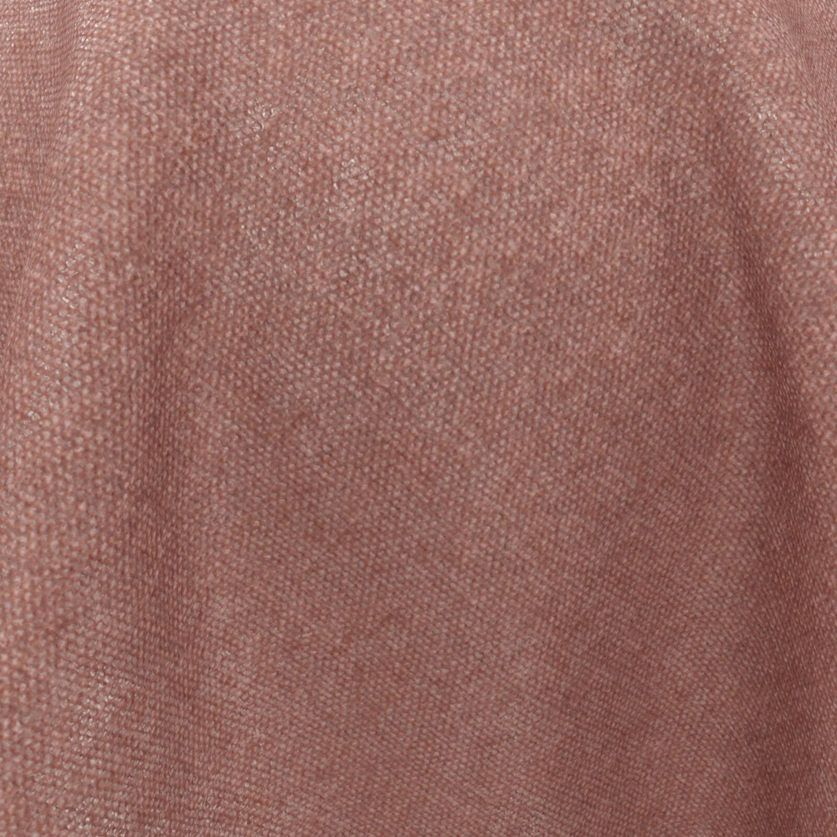 Confidante 10 Blossom