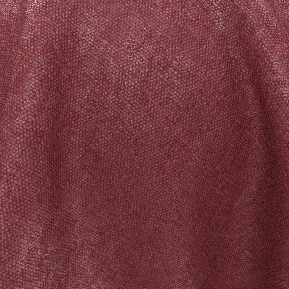 Confidante 11 Peony