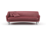 Confidante 11 Peony