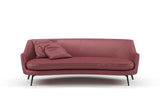 Confidante 11 Peony