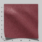 Confidante 11 Peony