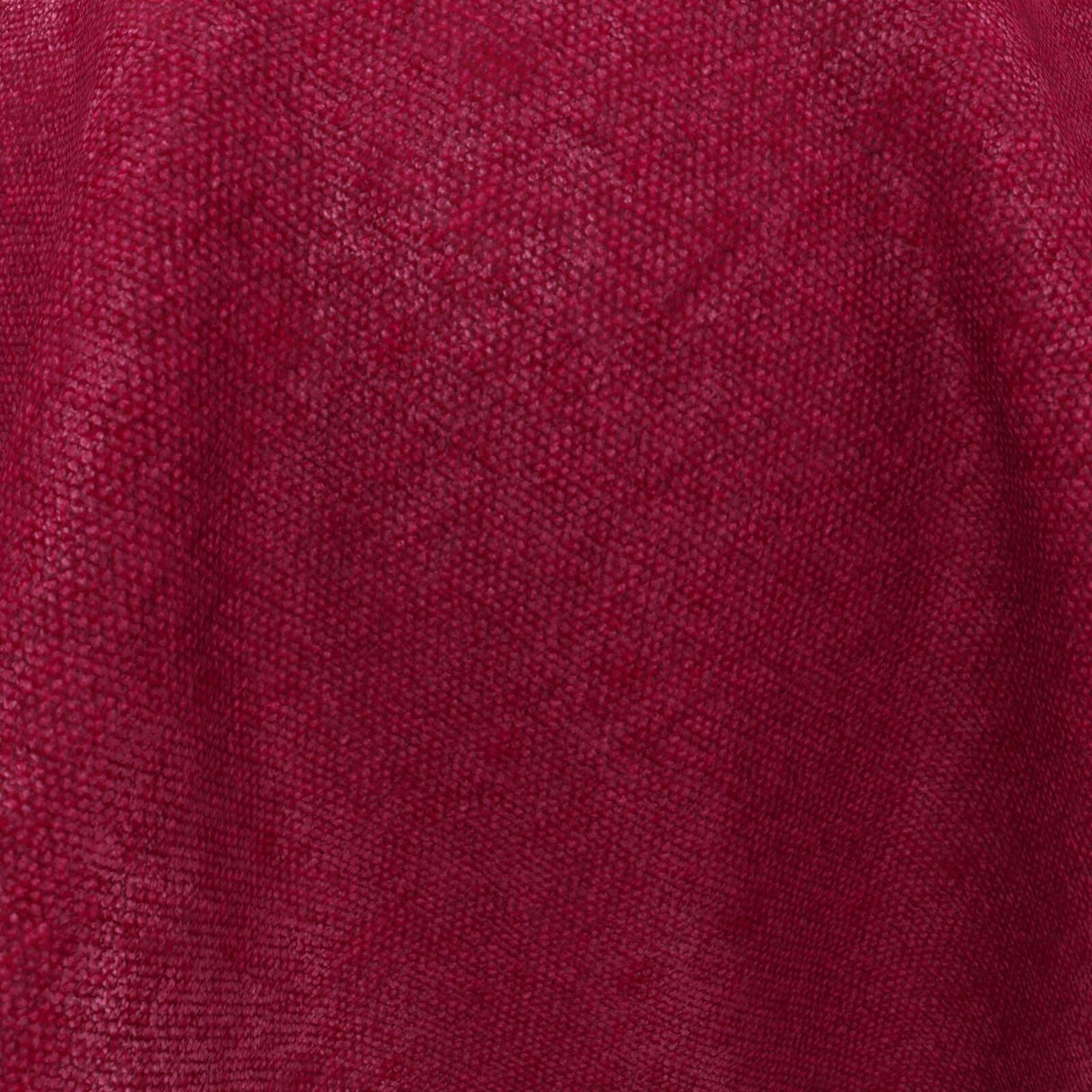 Confidante 12 Tulip