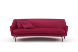 Confidante 12 Tulip