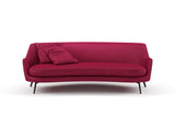 Confidante 12 Tulip