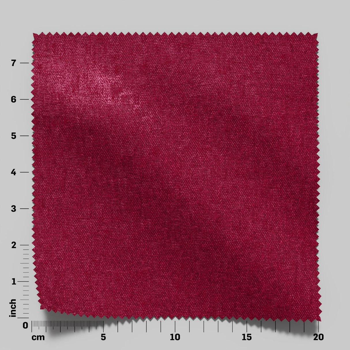 Confidante 12 Tulip
