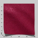 Confidante 12 Tulip