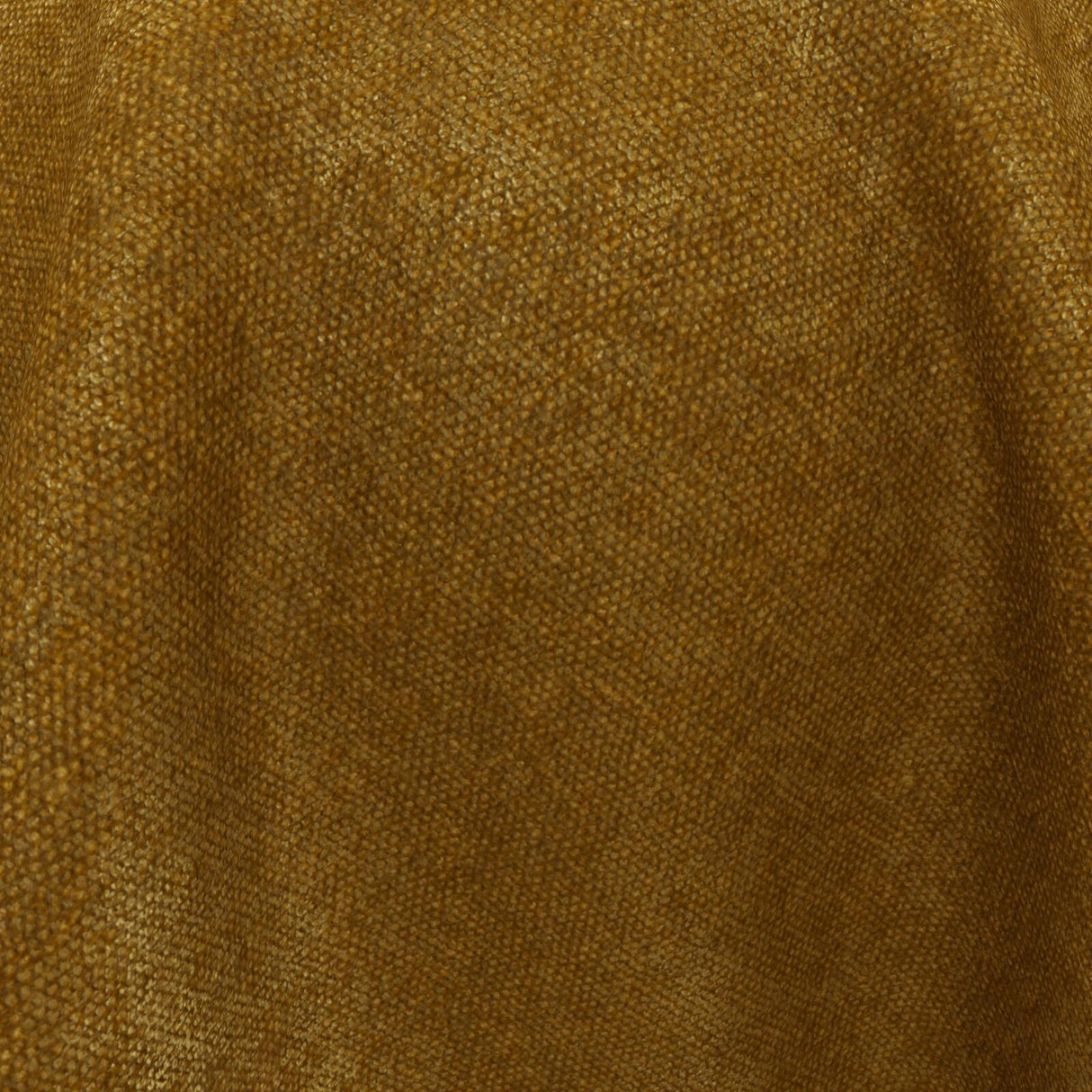 Confidante 19 Gold