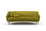 Confidante 21 Turtle