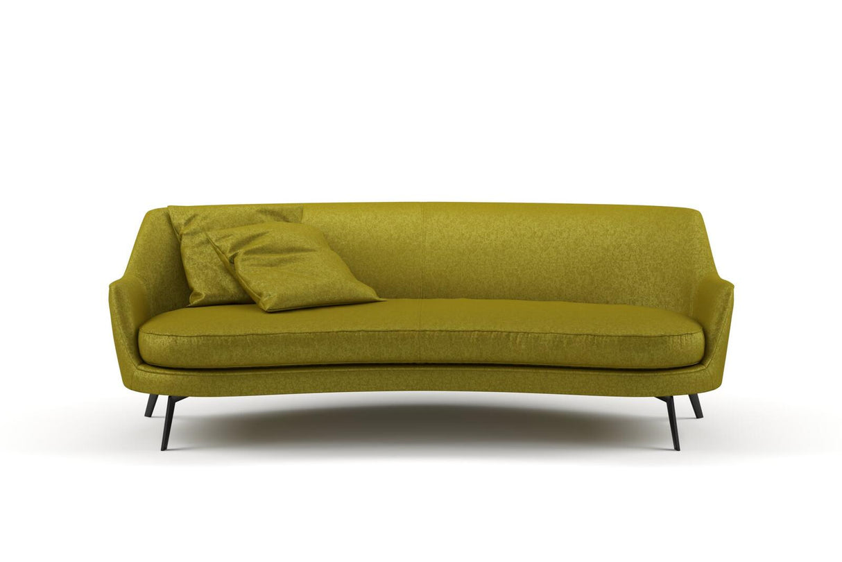 Confidante 21 Turtle