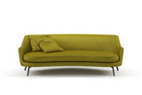 Confidante 21 Turtle