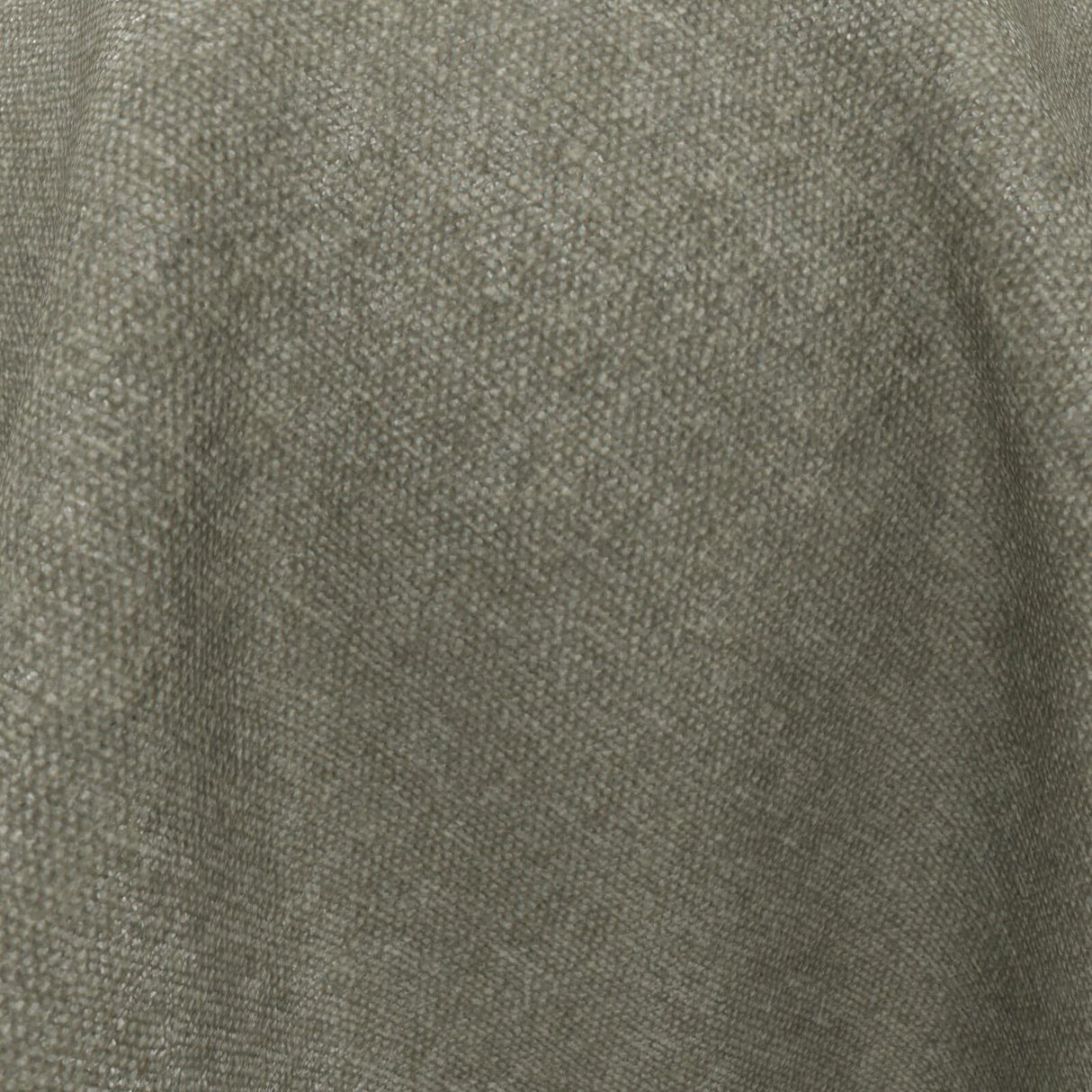 Confidante 32 Funghi