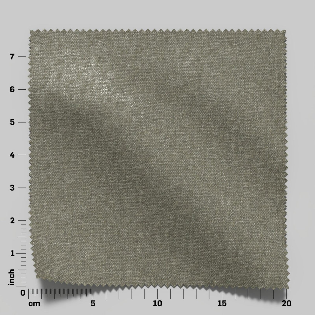 Confidante 32 Funghi