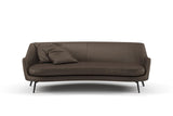 Confidante 36 Bison