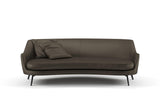 Confidante 38 Gargoyle