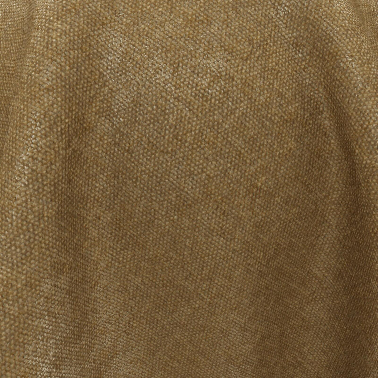 Confidante 52 Antelope