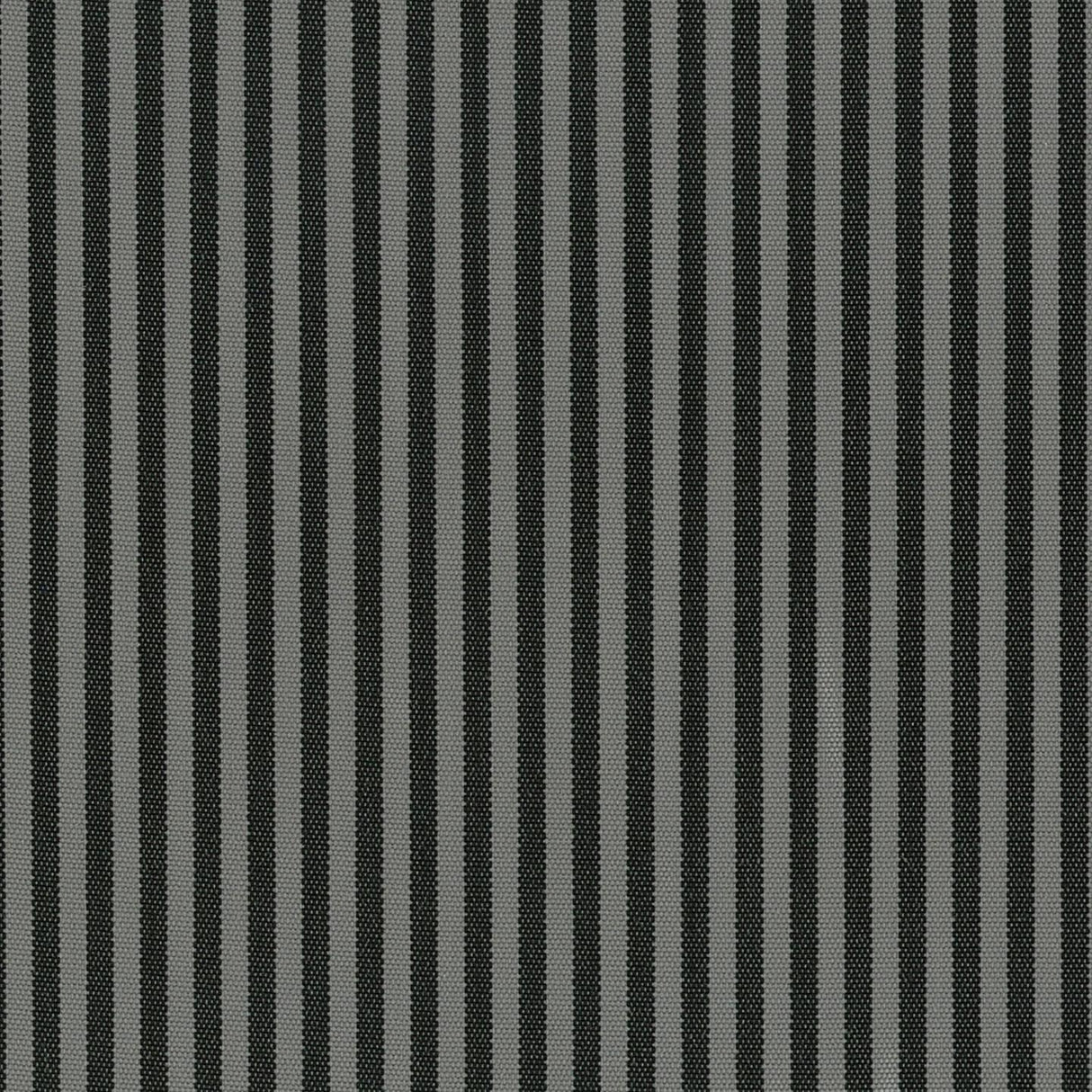 Coral 07