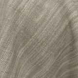 Desertia 10 Fossil