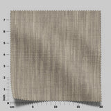 Desertia 10 Fossil