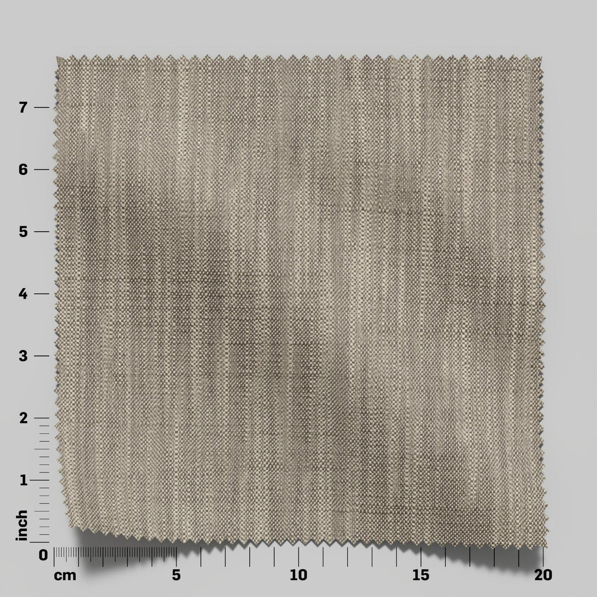 Desertia 10 Fossil