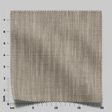 Desertia 10 Fossil
