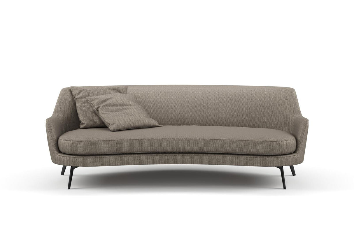Iconji 19 Liquorice