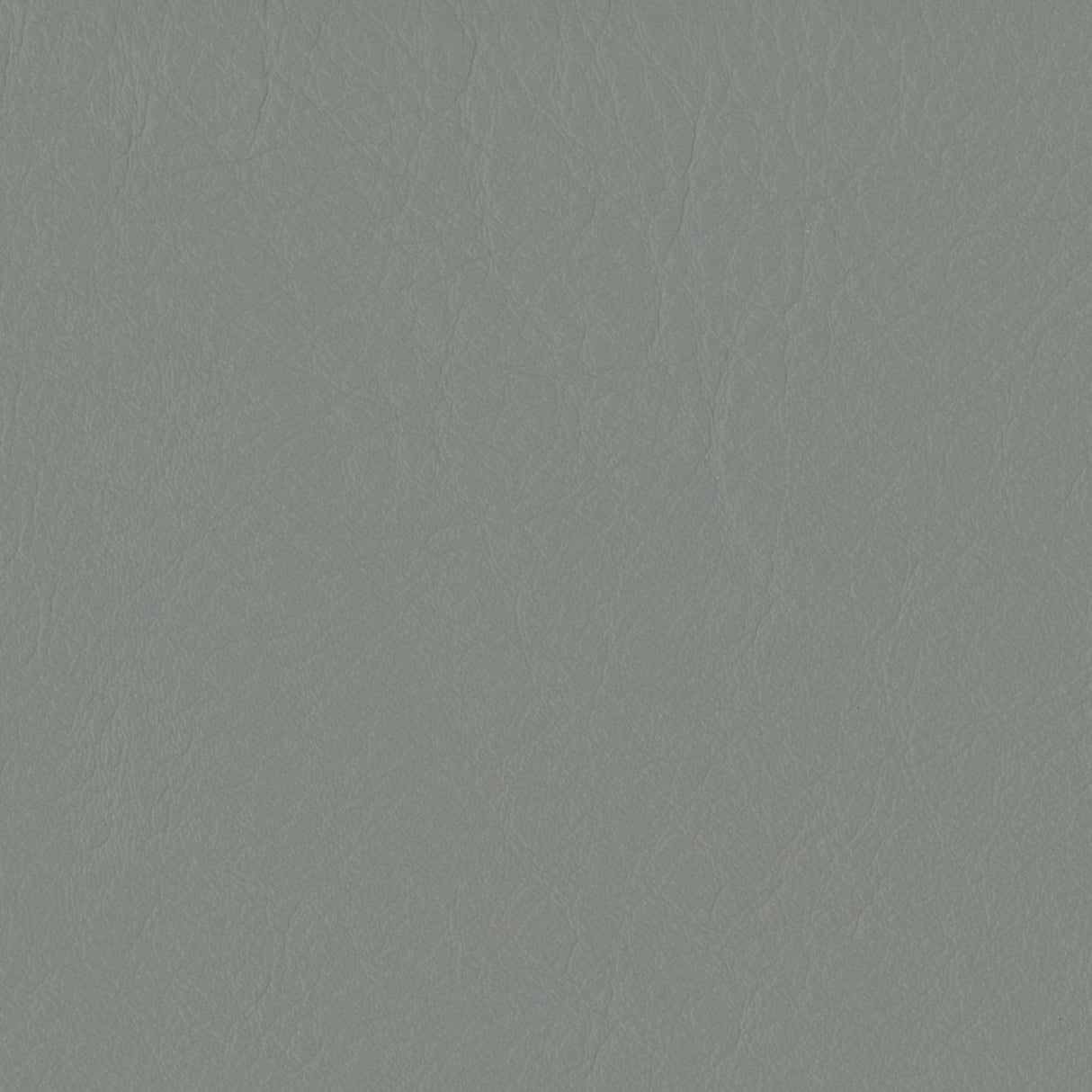 Emotion 206036