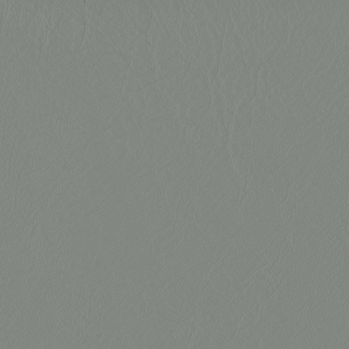 Emotion 206036