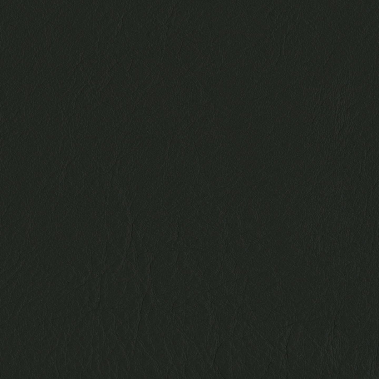 Emotion 207002