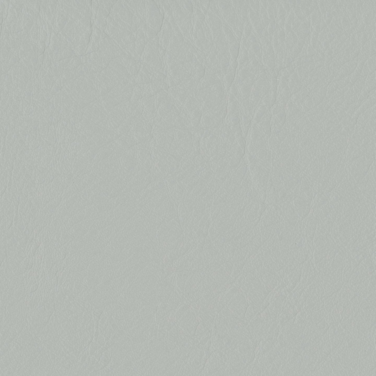 Emotion 209026