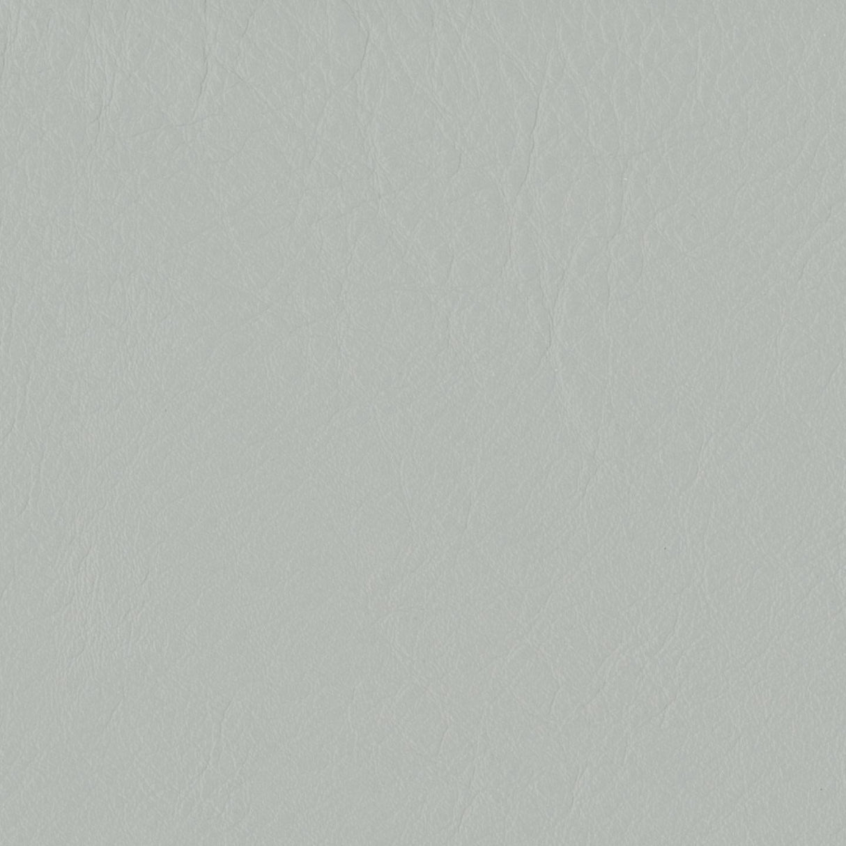 Emotion 209026