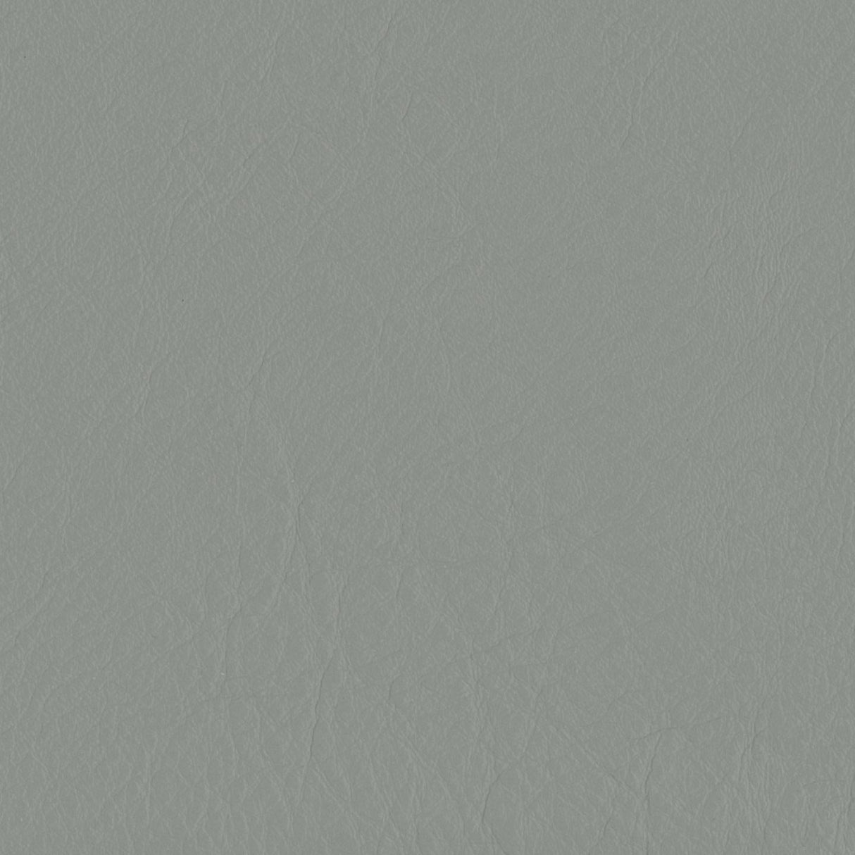 Emotion 210046