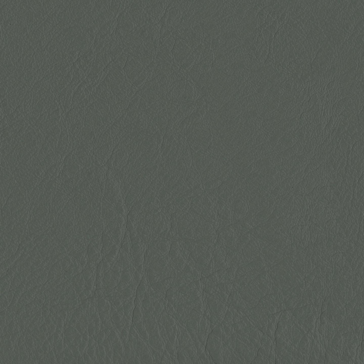 Emotion 211076