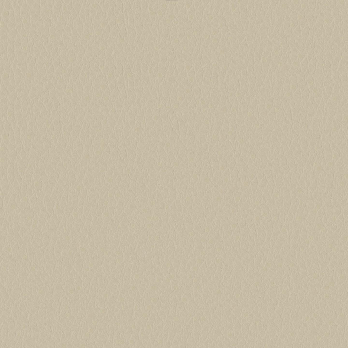 Emotion 212034