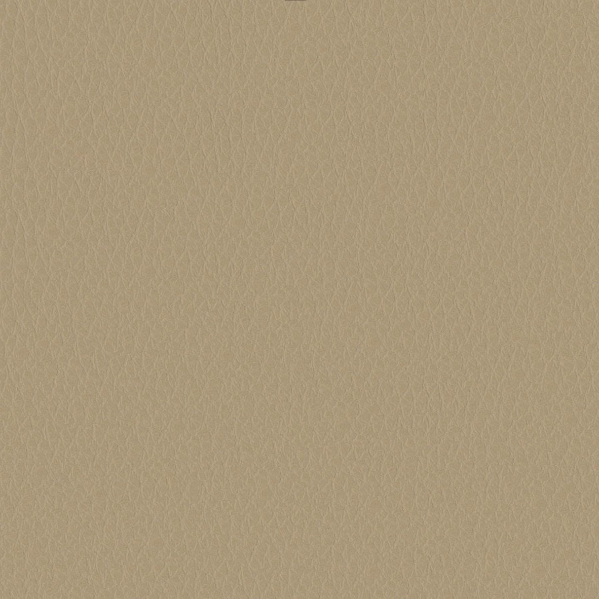 Emotion 213054