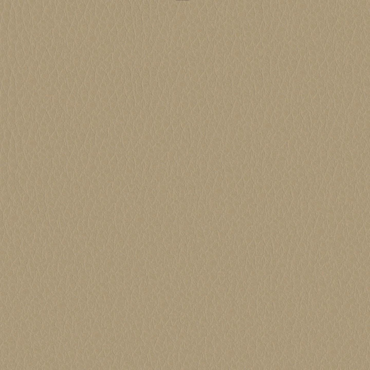 Emotion 213054