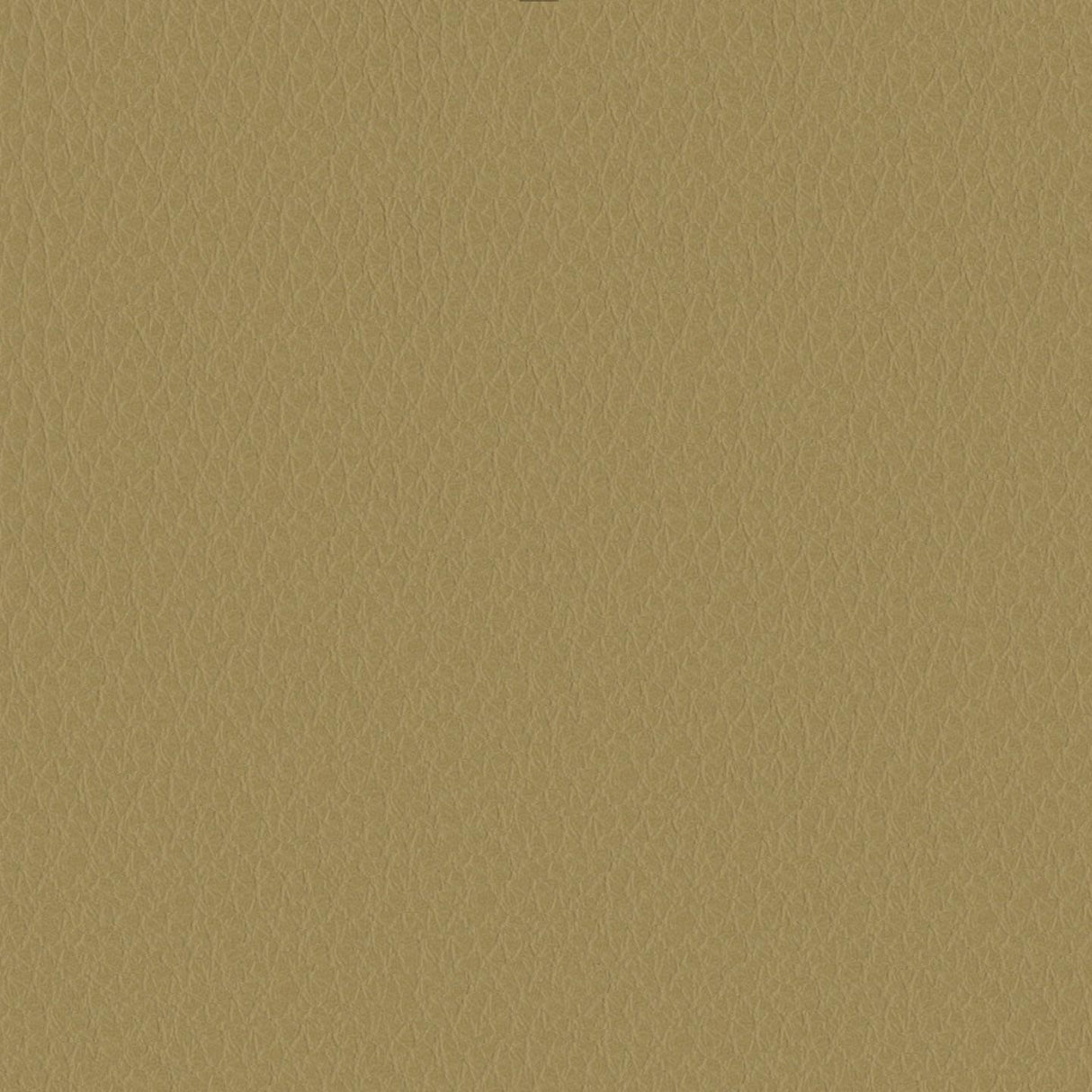 Emotion 215064