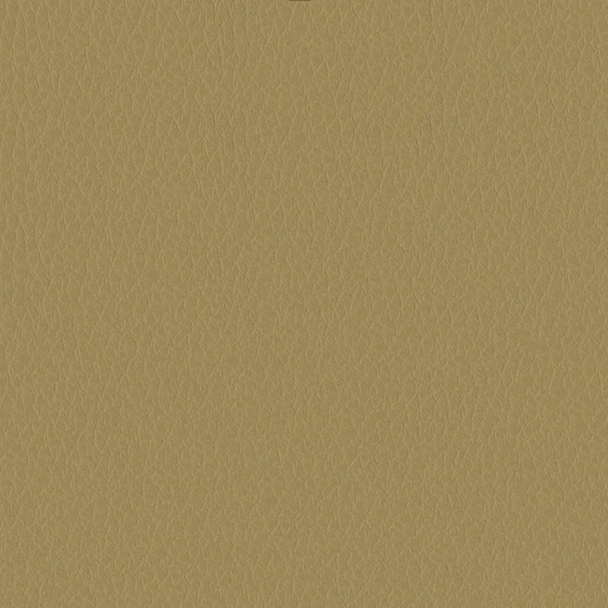 Emotion 215064