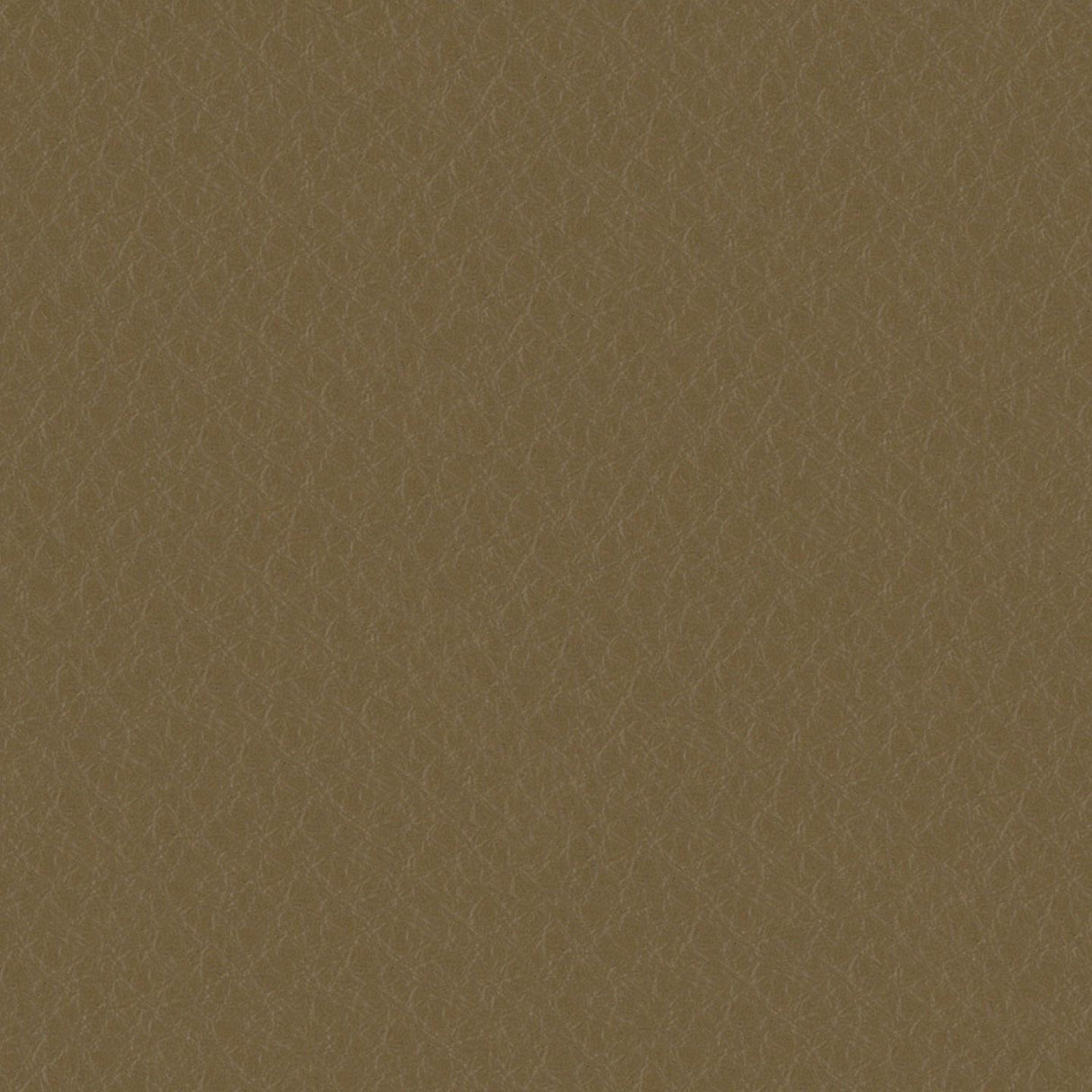 Emotion 216304